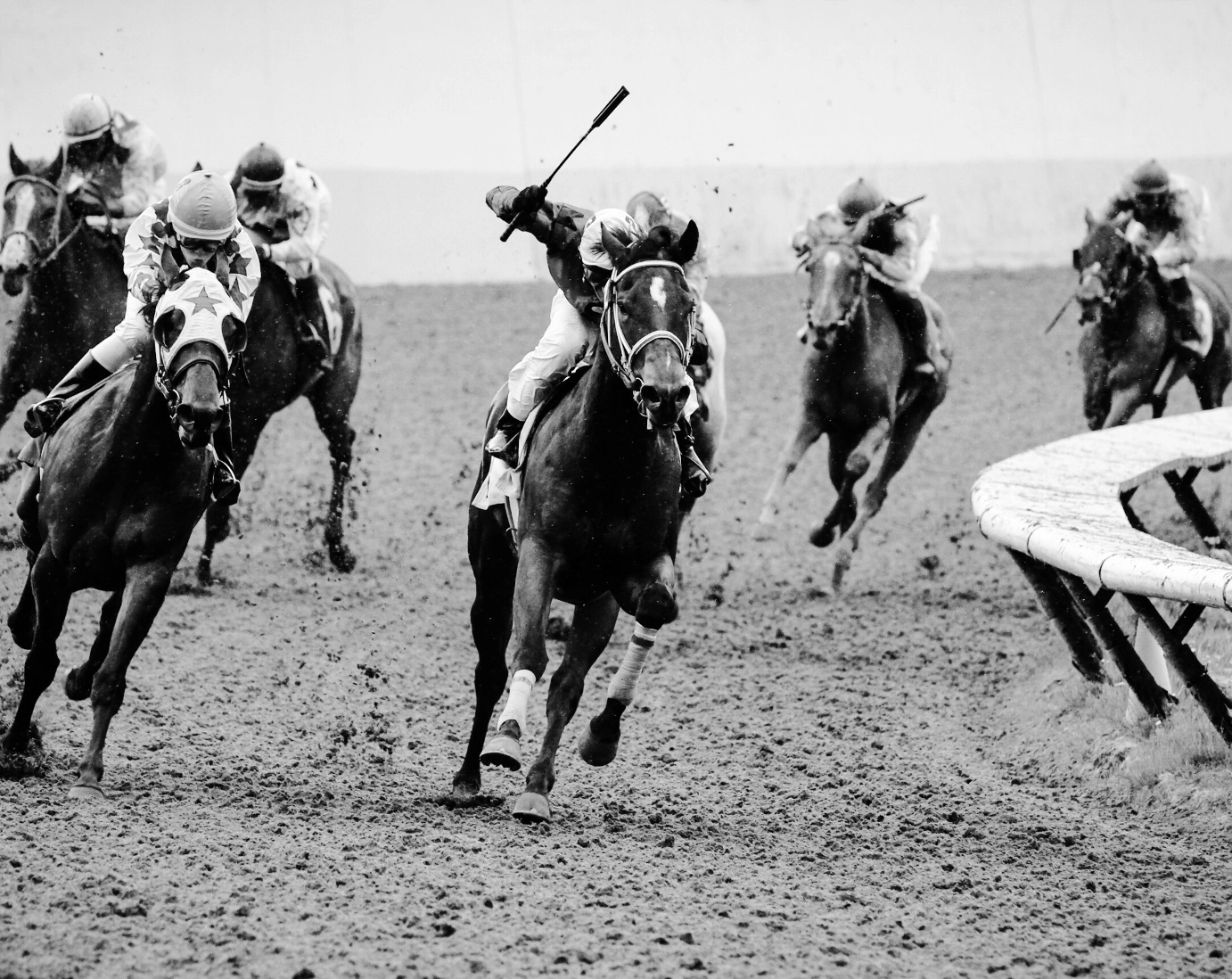 Hialeah Race Track Flamingo Village